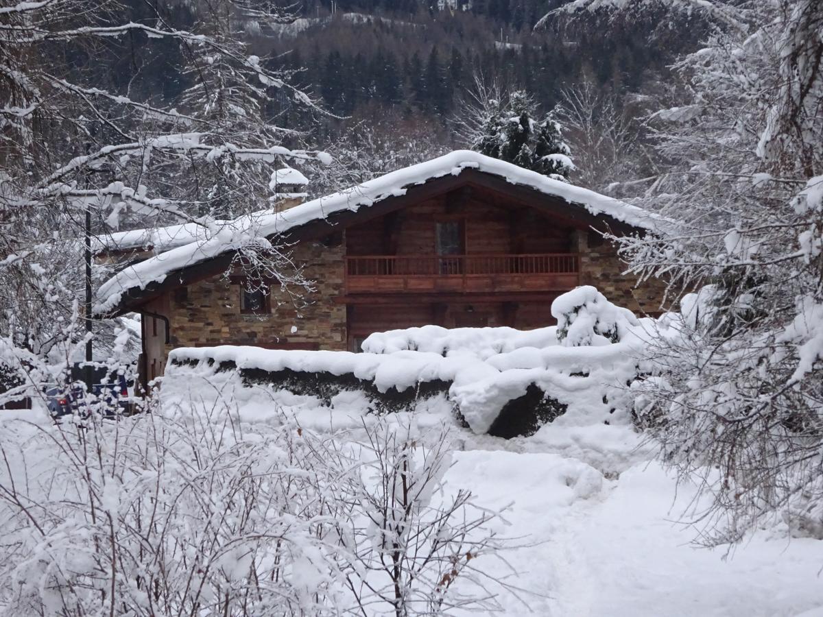 Ski Breezy Chalet شامونكس المظهر الخارجي الصورة